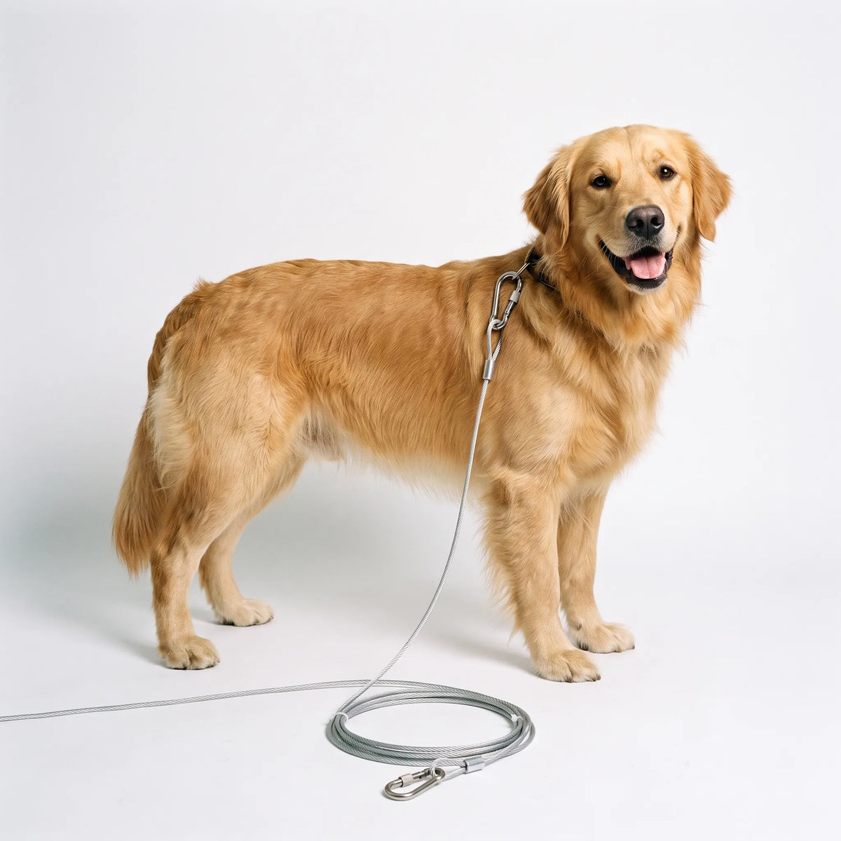 Canitether - Weerbestendige Honden Aanleglijn
